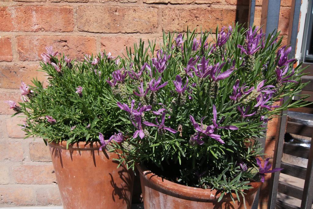 The Bell, Alderminster Bed & Breakfast Stratford-upon-Avon Bagian luar foto